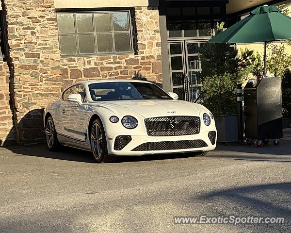 Bentley Continental spotted in New Hope, Pennsylvania